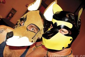 MAL Pups #7