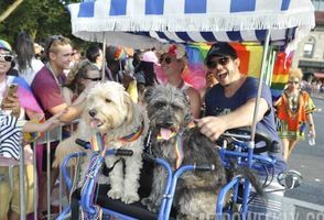 Capital Pride Parade #146
