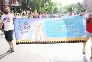 Capital Pride Parade #377