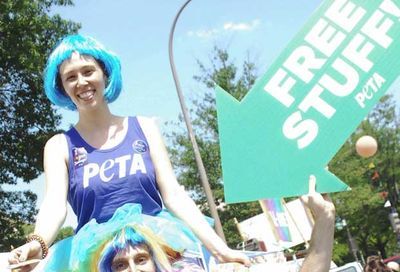 The 2017 Capital Pride Festival #207