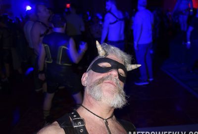 MAL 2019: Puppy Park, The Lobby, Leather Market and More #6