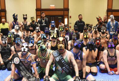 MAL 2019: Puppy Park, The Lobby, Leather Market and More #64