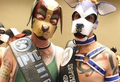 MAL 2019: Puppy Park, The Lobby, Leather Market and More #68