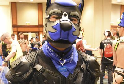 MAL 2019: Puppy Park, The Lobby, Leather Market and More #69
