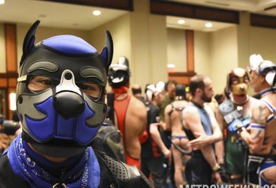 MAL 2019: Puppy Park, The Lobby, Leather Market and More #70