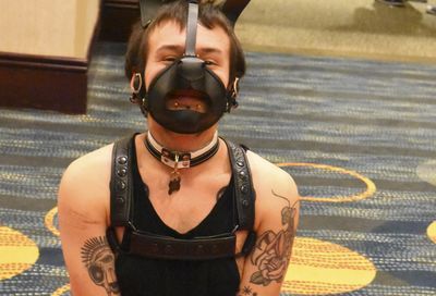 MAL 2019: Puppy Park, The Lobby, Leather Market and More #79