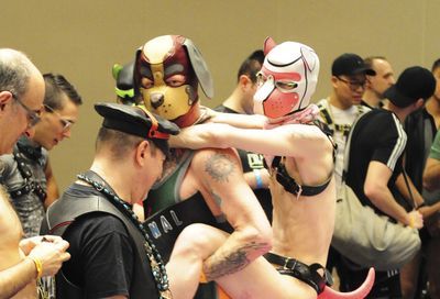 MAL 2019: Puppy Park, The Lobby, Leather Market and More #91