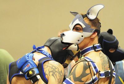 MAL 2019: Puppy Park, The Lobby, Leather Market and More #95