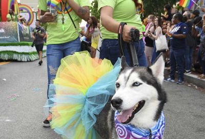 Capital Pride Parade #66