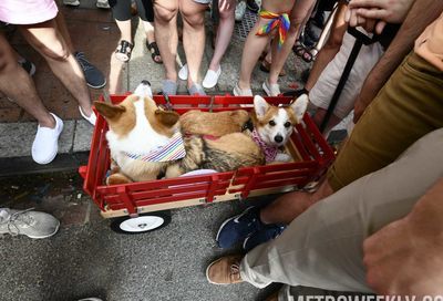 Capital Pride Parade #103