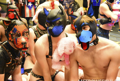 MAL 2020 - Puppy Park XXII #3