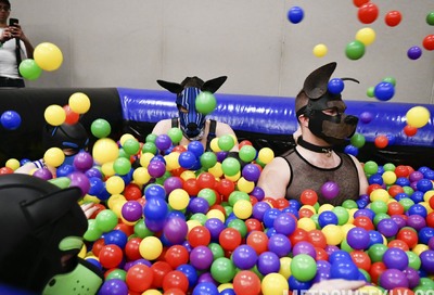 MAL 2020 - Puppy Park XXII #12