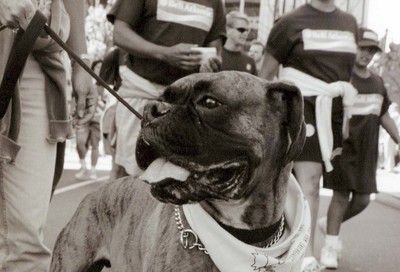 Retro Scene: Whitman-Walker's 1997 AIDSWalk #29