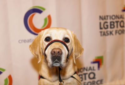 Click to see these Pics