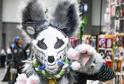 Click to see these Pics