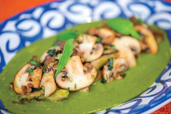 Oyamel: Huatape de Hongos Photo by Dan Swartz