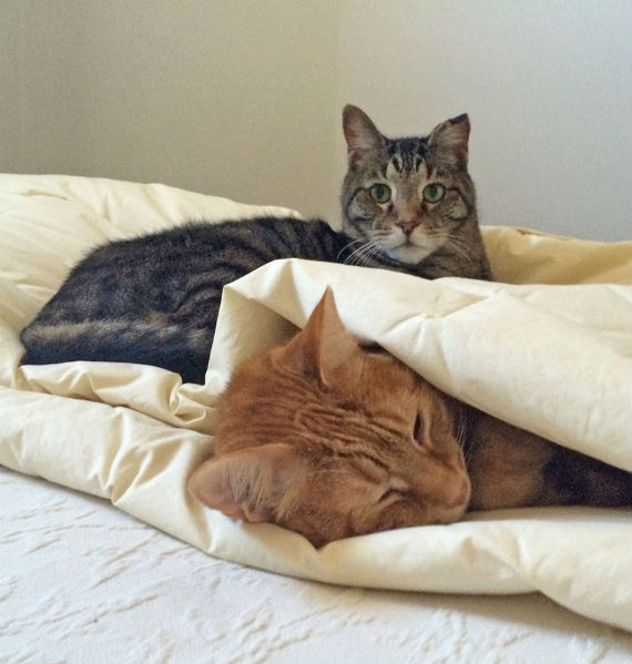 zeke_and_junior_1
