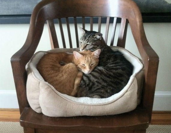 zeke_and_junior_2