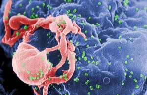 hiv, virus, prep, vaccine, gay news, metro weekly