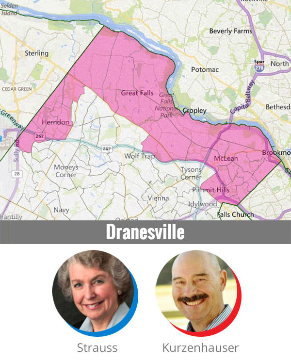 Fairfax County School Board candidates, Dranesville District.