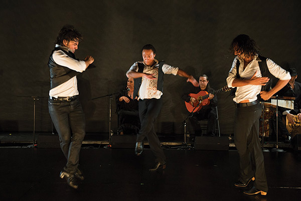 Gala's Fuego Flamenco Festival - Photo: Theo Kossenas