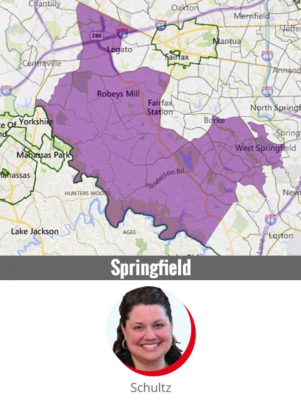 Fairfax County School Board candidates, Springfield District.