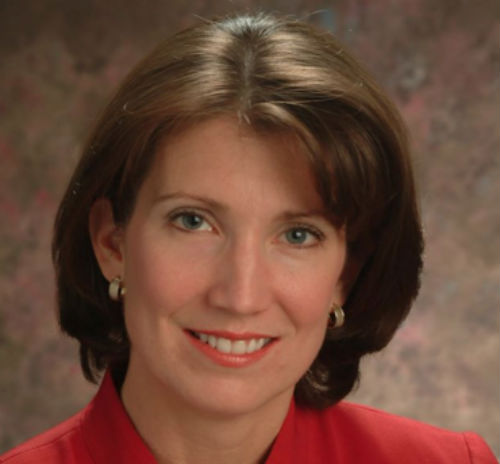 Rep. Susan Lynn (Photo: Susan Lynn for State Representative, via Facebook).