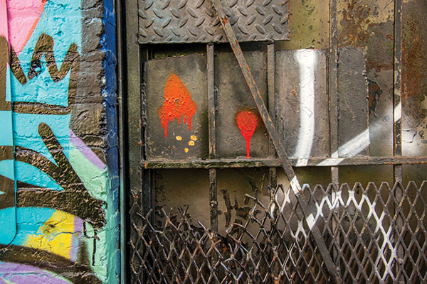 Alley Security -- By Charlie Gaynor