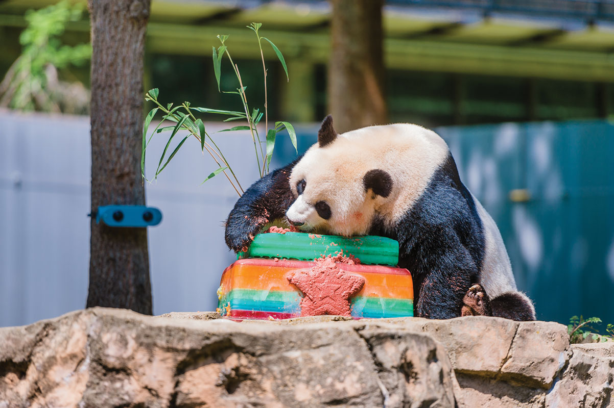 DC Center and National Zoo partner for a day of celebrating equality among  the animals - Metro Weekly