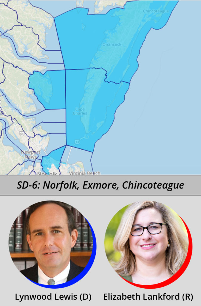 Virginia Senate District 6