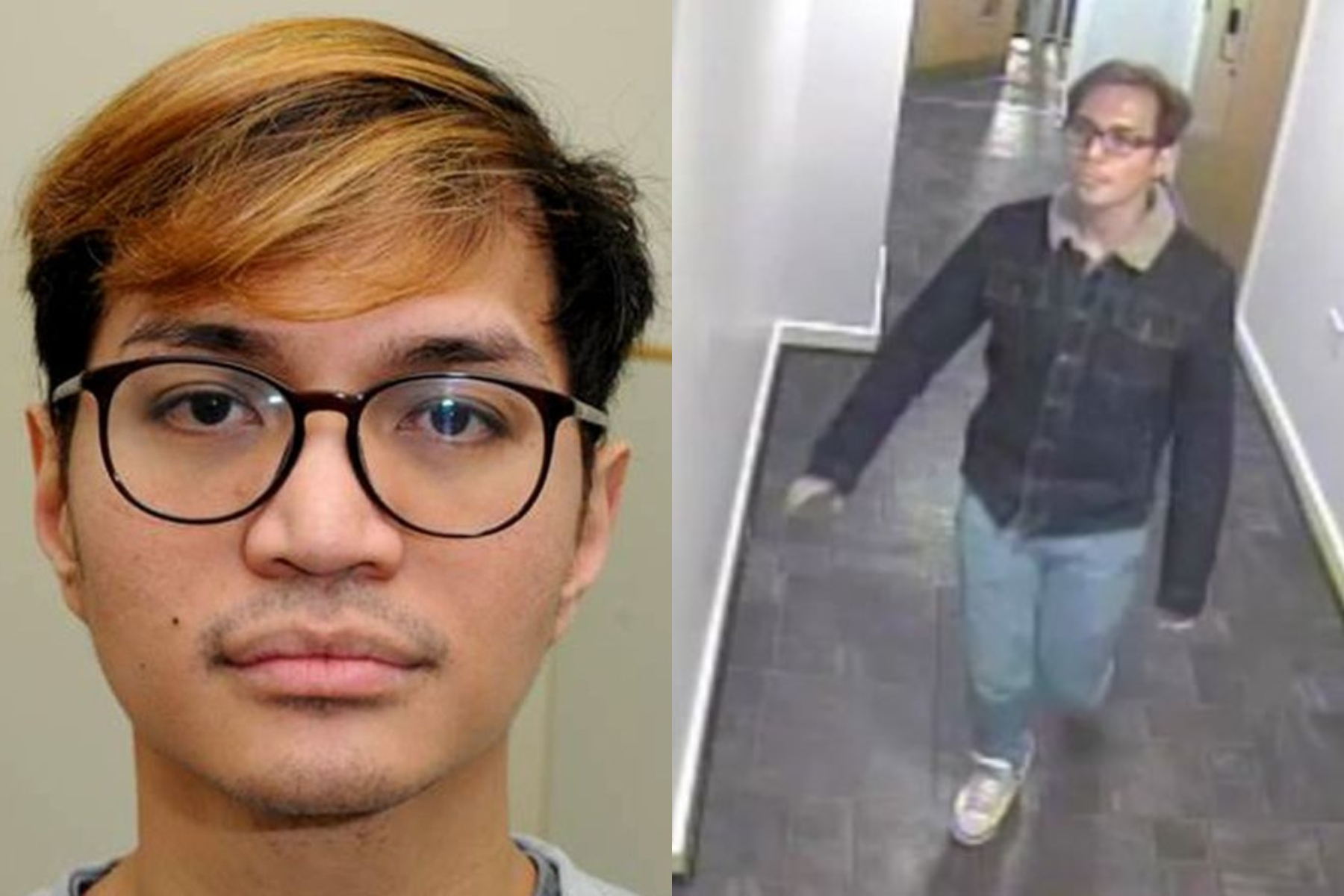 reynhard sinaga, manchester, assault