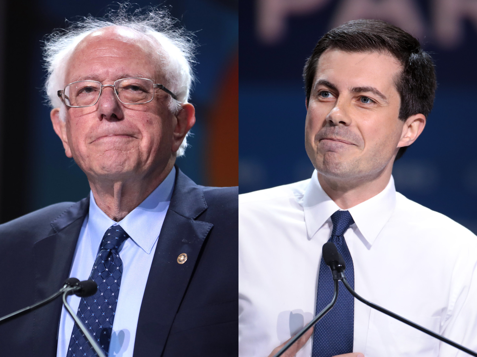 bernie sanders, pete buttigieg, new hampshire, primary