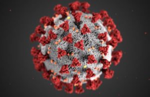 coronavirus, lgbtq