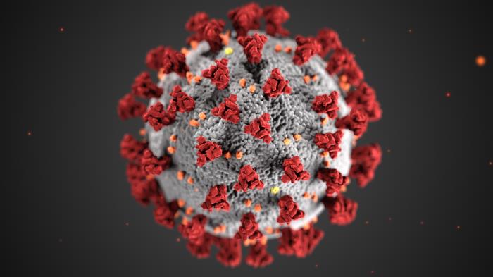 coronavirus, lgbtq