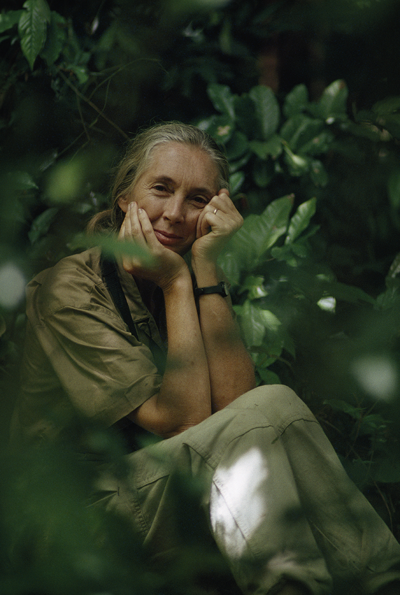 jane goodall spring tour