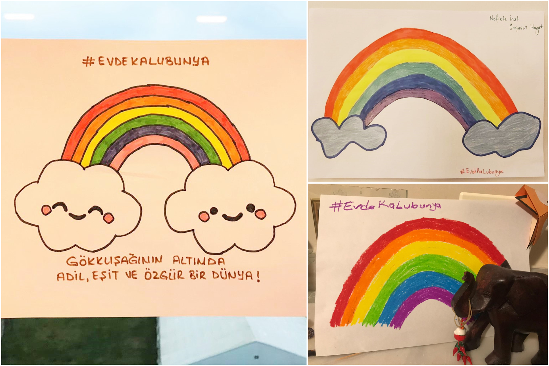 turkey, rainbows, gay