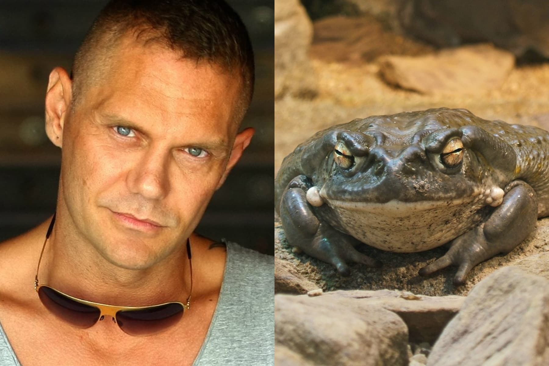 Spanish Porn Star Arrested After Mans Death During Toad Venom Ritu