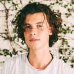 shawn mendes, gay, rumors, singer, wonder