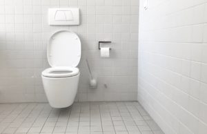 toilet, bathroom, restroom