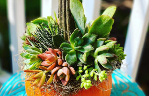 Indigro Plant Design
