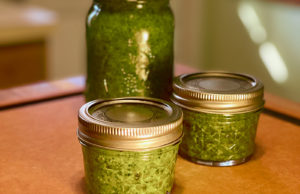 Pesto in jars
