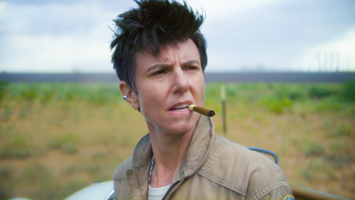 Tig Notaro