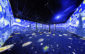 Van Gogh Immersive Experience -- Photo: Dan Swartz for Fever