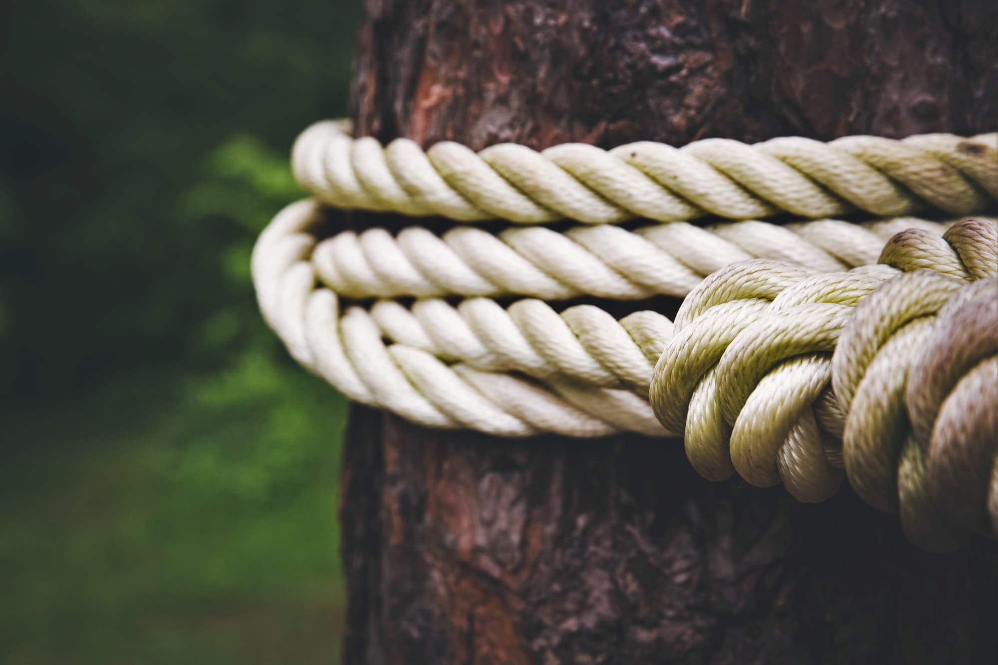tree, tied, mayor, gay, cruising, naked, stripped
