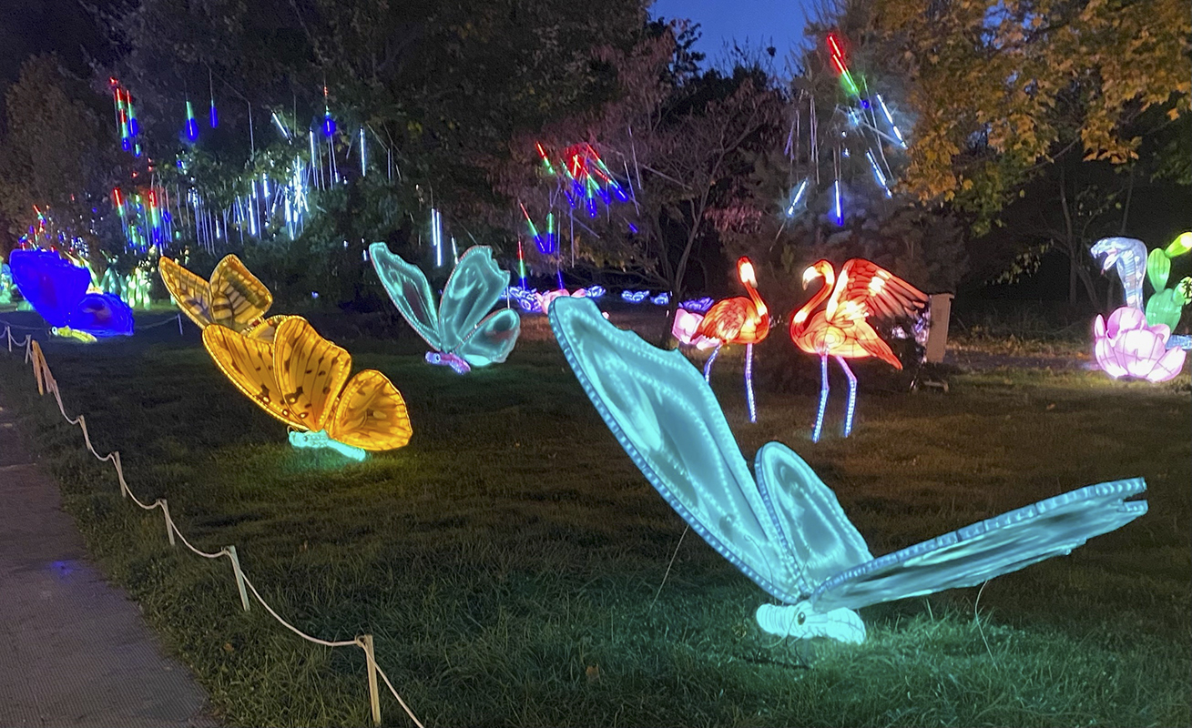 Kennedy Center Christmas 2022 2022 Winter Lanterns_Butterflies And Flamingos_Photo Courtesy Of The Kennedy  Center - Metro Weekly