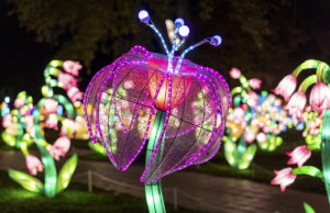 Winter Lanterns -- Photo courtesy of the Kennedy Center