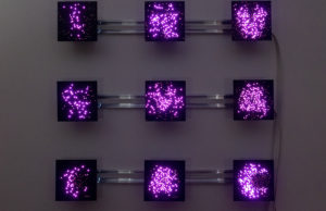 "Rxsqtta-Stzne" by Chris Combs. Custom circuit boards, pink LEDs, computers, radios, motion sensors, algorithms, PLA, DIN rail