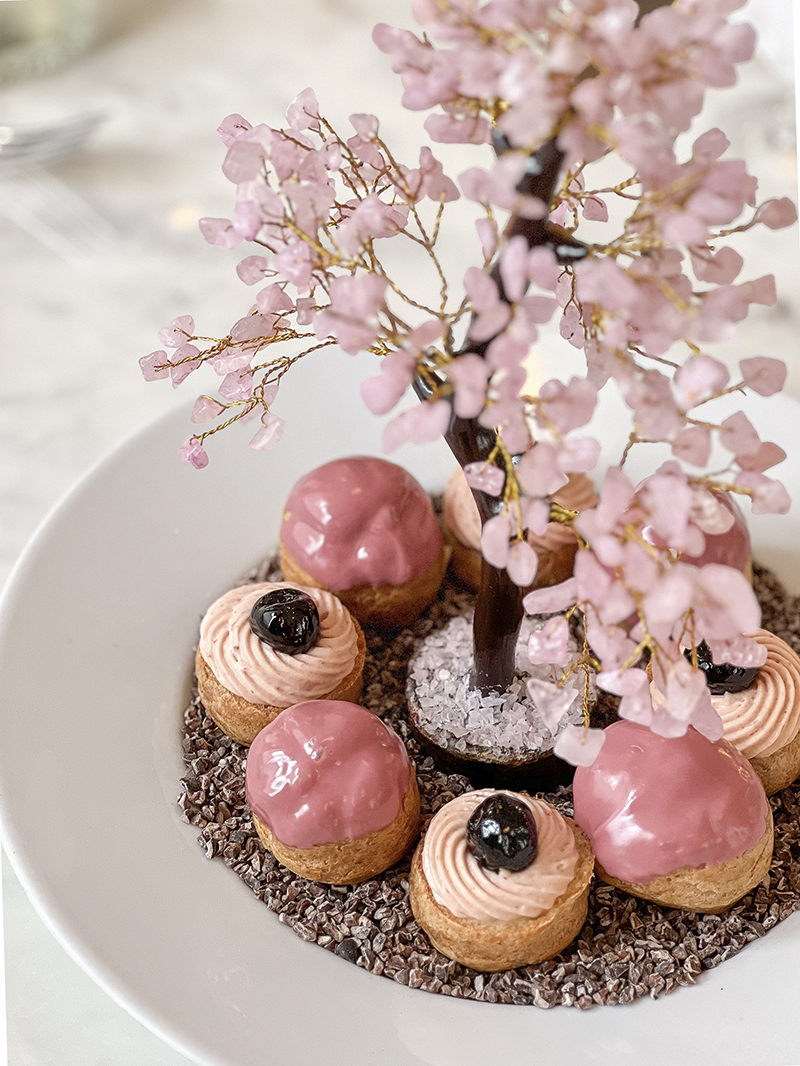 Cafe Riggs: Cherry Blossom Profiterole