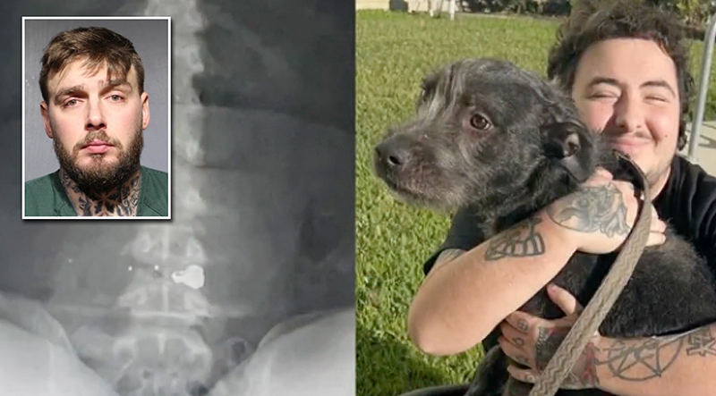 Florida Man Charged With Attempted Murder for Shooting Neighbor